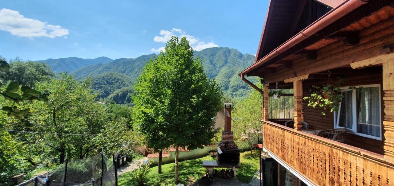 Casa Colt De Rai Villa Брезой Екстериор снимка